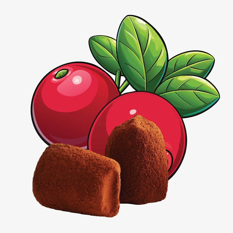 Cranberry chocolate truffles - bulk-0