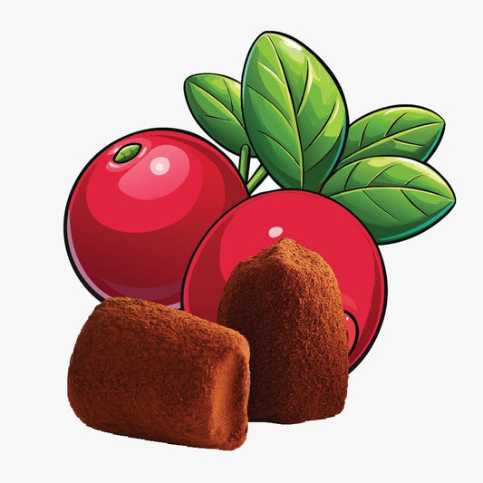 Cranberry chocolate truffles - bulk-0