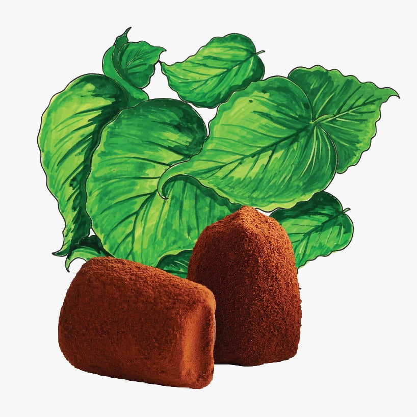 Mint Chocolate truffles - Bulk-0