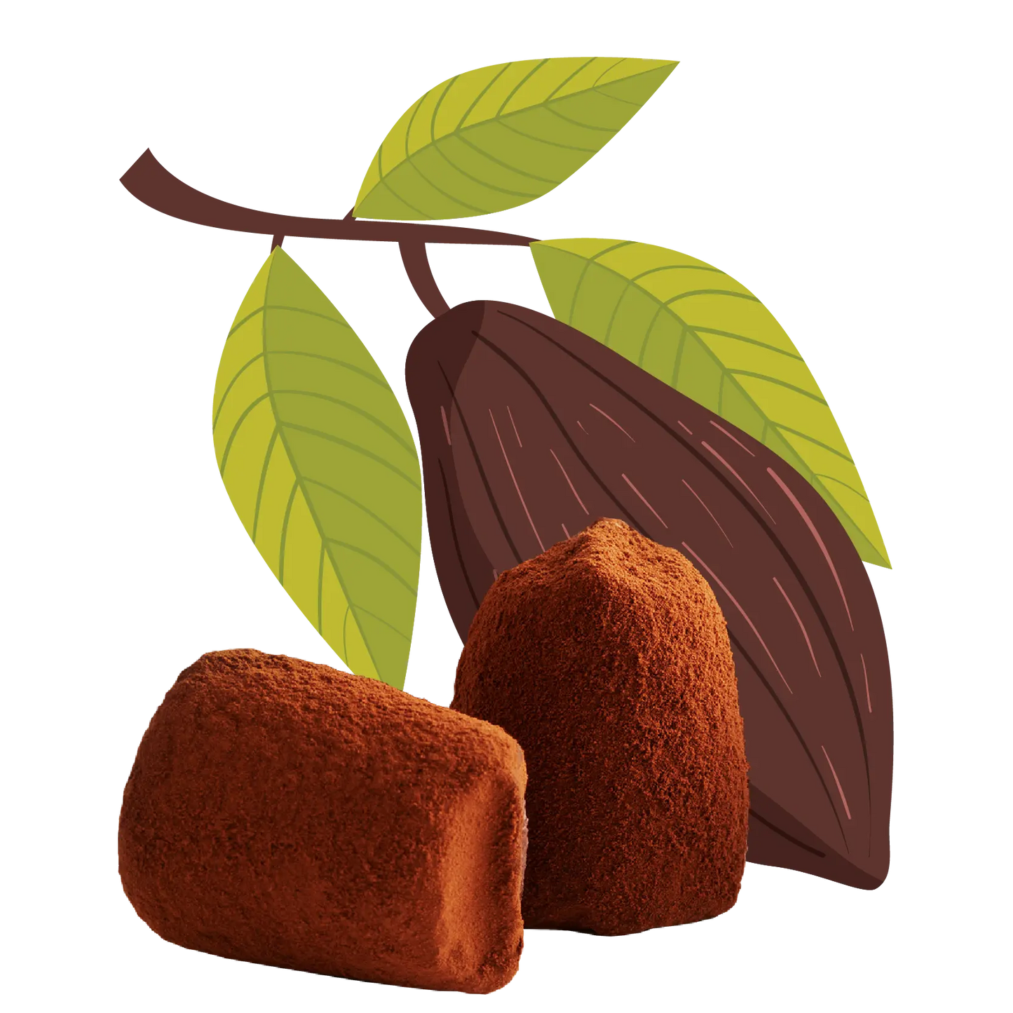 Cacao nibs chocolate truffles - bulk-0