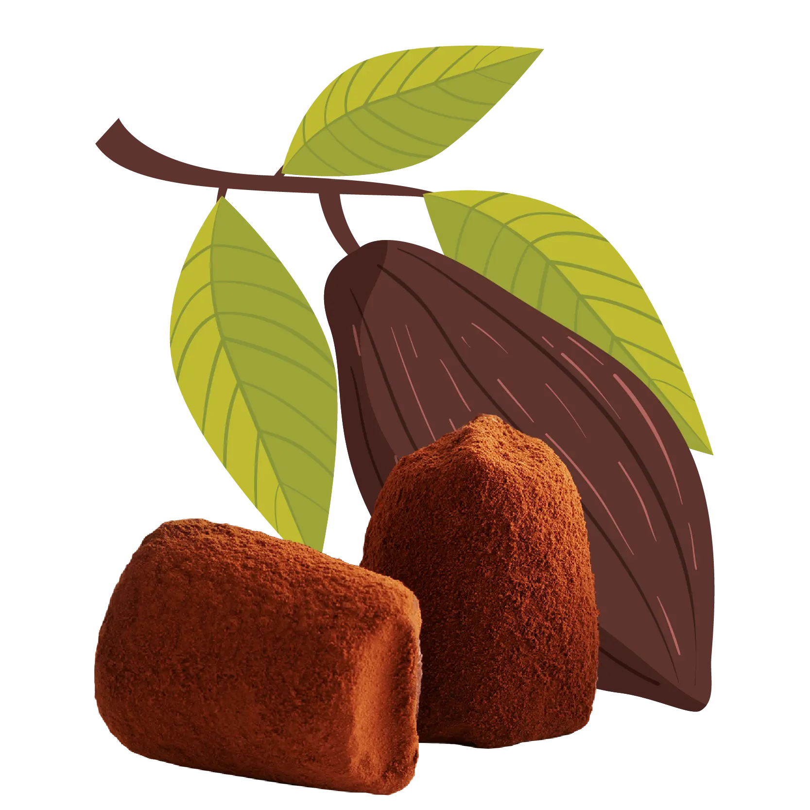 Cacao nibs chocolate truffles - bulk-0